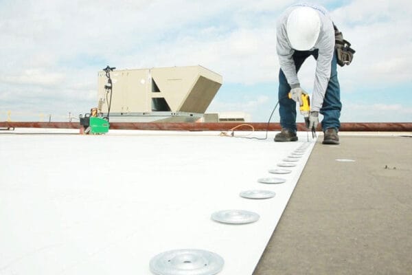 Membran Çeşitleri Nelerdir?